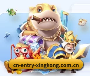 五大服务分区,信息按项目分类 | xingkong